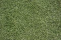 Lawn football field (soccer field, green grass)