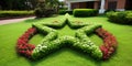 Lawn in the form of a star an image of a lawn neatly t_001