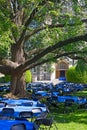 Lawn in front of White-Gravenor Hall with tables and chairs during Georgetown University reunion. Royalty Free Stock Photo