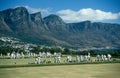 Lawn game in session, Cape Town, South Africa