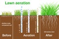 Lawn aeration for active plant growth. Free access of water and air to soil. Process steps before and after. Vector