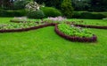 Graden. Beatiful garden. Green texure. Royalty Free Stock Photo