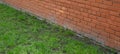 Lawn with green grass at the red brick wall Royalty Free Stock Photo