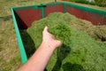 On the lawn is a green tin container for grass clippings from gardens and parks. a man checks the quality and quantity of grass by