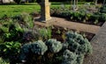 on the lawn is a green tin container for grass clippings from gardens and parks. Royalty Free Stock Photo