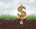 Lawn Health Cost Royalty Free Stock Photo