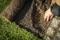 Lawn Installation Process With Sod and Soil Preparation During Daylight Royalty Free Stock Photo