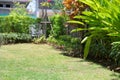 Lawn landscaping garden with green grass turf and small plant decoration Royalty Free Stock Photo