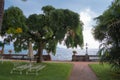 Lawn with lounge chairs overlooking the lake