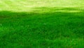 A lawn mowed by a robotic lawnmower in a public park. Texture of lush green grass