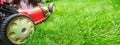 Lawn mower Royalty Free Stock Photo