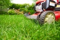 Lawn mower. Royalty Free Stock Photo