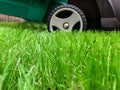 Lawn mower cutting green grass in the backyard. Gardening background.Grass close-up and wheel of a lawn mowing machine, yard care Royalty Free Stock Photo