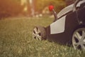 Lawn mower cutting green grass on backyard. Gardening care equipment. Sunny day, close up Royalty Free Stock Photo