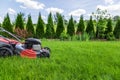 Lawn mower cutting green grass in backyard Royalty Free Stock Photo