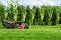 Lawn mower cutting green grass in backyard Royalty Free Stock Photo