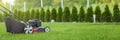 Lawn mower cutting green grass Royalty Free Stock Photo