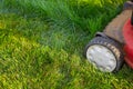 Lawn mower cutting green grass. Royalty Free Stock Photo