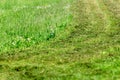Lawn mower green grass on the lawn Royalty Free Stock Photo