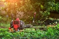 Lawn mower lying on the grass Royalty Free Stock Photo