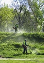 Lawn mower workers cutting grass in green field