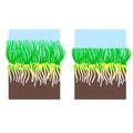 Lawn mowing stage illustration. Gardening shearing grass lawncare, landscaping service. Vector isolated on white