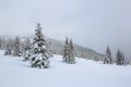 From the lawn, a panoramic view of the covered with frost trees in the snowdrifts, high mountain with snow white peaks. Royalty Free Stock Photo