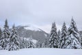 From the lawn, a panoramic view of the covered with frost trees in the snowdrifts, high mountain with snow white peaks. Winter. Royalty Free Stock Photo