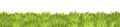 Lawn. Seamless illustration. Grass close-up. Green summer landscape. Rural pasture meadow. Cartoon style. Flat design