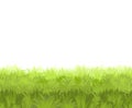 Lawn. Seamless illustration. Grass close-up. Green summer landscape. Rural pasture meadow. Cartoon style. Flat design