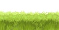 Lawn. Seamless illustration. Grass close-up. Green summer landscape. Rural pasture meadow. Cartoon style. Flat design