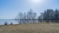 A lawn on the shore of a frozen lake on a sunny spring day. Thuja, trees against a blue sky and an ice-covered lake Royalty Free Stock Photo