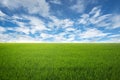 Lawn with sky Royalty Free Stock Photo