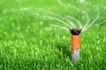 Lawn Sprinkler