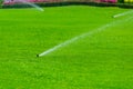 Lawn sprinkler spaying water over green grass. Irrigation system Royalty Free Stock Photo