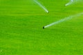 Lawn sprinkler spaying water over green grass. Irrigation system Royalty Free Stock Photo