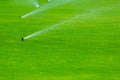 Lawn sprinkler spaying water over green grass. Irrigation system Royalty Free Stock Photo