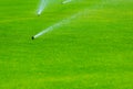 Lawn sprinkler spaying water over green grass. Irrigation system Royalty Free Stock Photo