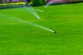 Lawn sprinkler spaying water over green grass. Irrigation system Royalty Free Stock Photo