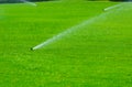 Lawn sprinkler spaying water over green grass. Irrigation system Royalty Free Stock Photo