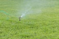 Lawn sprinkler spaying water over green grass. Irrigation system. Automatic watering lawns. Gardening. Royalty Free Stock Photo