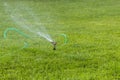 Lawn sprinkler spaying water over green grass. Irrigation system. Automatic watering lawns. Gardening. Royalty Free Stock Photo