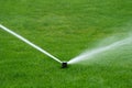 Lawn sprinkler spraying water