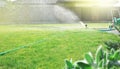 Lawn sprinkler watering green grass Royalty Free Stock Photo