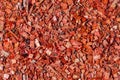 Red wooden chips, seamless texture Royalty Free Stock Photo
