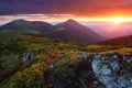 Lawn with trail stones and mountain pines. Landscape with beautiful sunrise. Fantastic sky, high mountains.