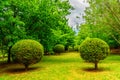 Trimmed trees and manicured lawn