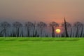 Lawn, trees, sky and clouds, sun down. Royalty Free Stock Photo