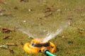 Lawn water sprinkler Royalty Free Stock Photo