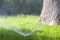 Lawn water sprinkler spraying water over grass in garden on a hot summer day. Automatic watering lawns. Gardening and environment Royalty Free Stock Photo